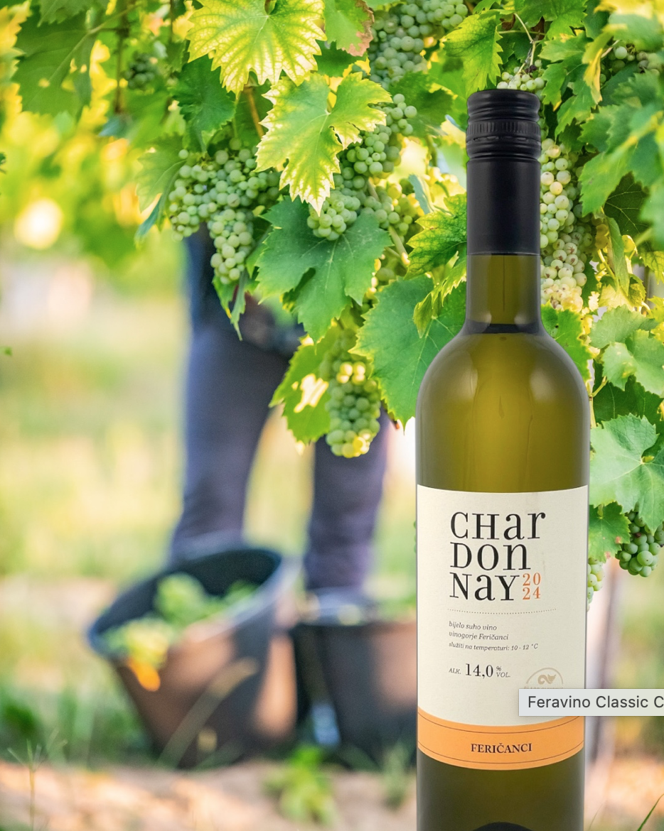 Classic Chardonnay